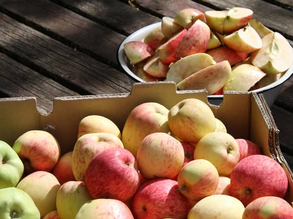 Apples, Pink Lady, 18 kg carton