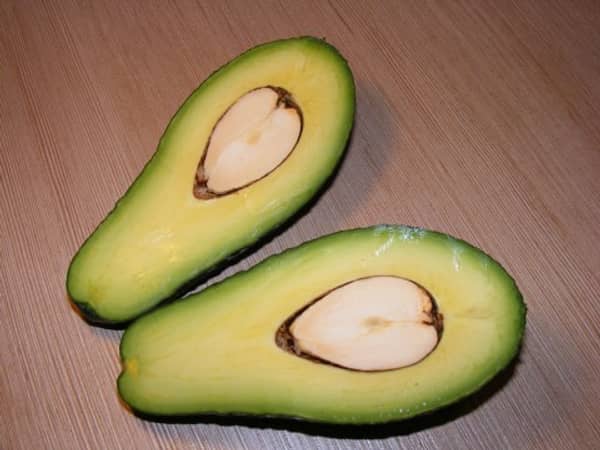 Avocados, Hass, tray of 20
