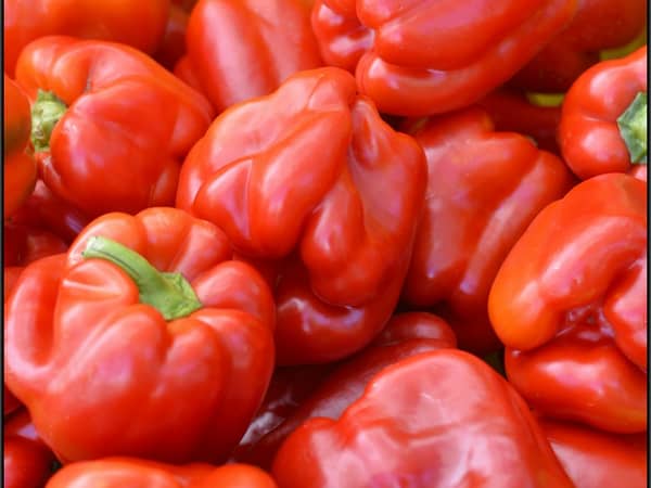 Capsicum, red, 5 kg carton