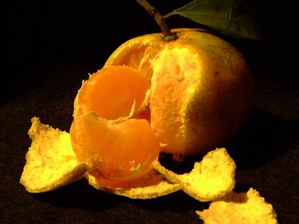 Mandarins, imperial, 10 kg carton