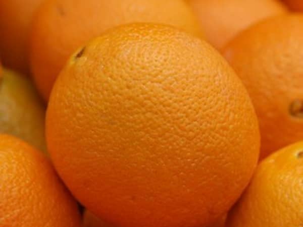 Oranges, navel, 15 kg carton