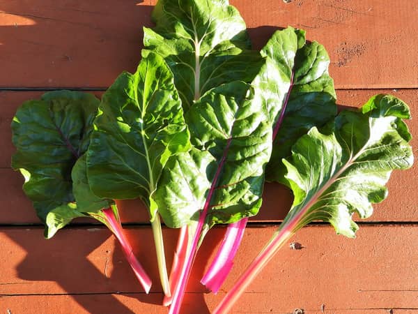 Silverbeet, 10 bunch