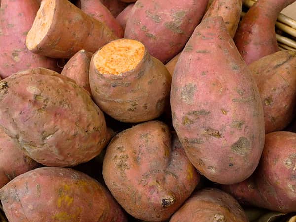 Sweet potato, gold, 8 kg carton