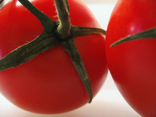 Tomatoes, truss, 5 kg box